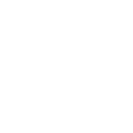 DESIE
